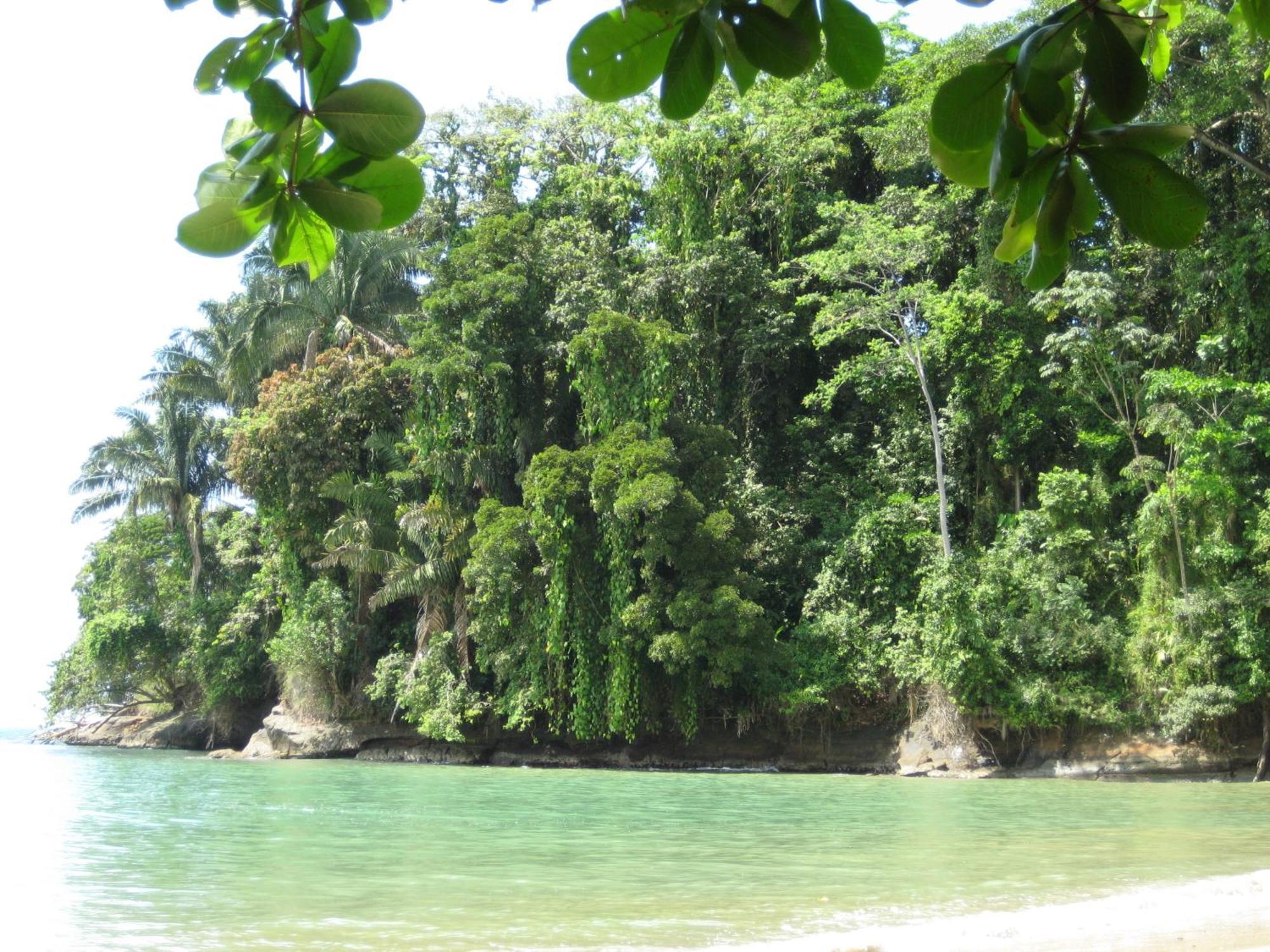 埃尔图昌丛林小屋住宿加早餐旅馆 Puerto Viejo de Talamanca 外观 照片