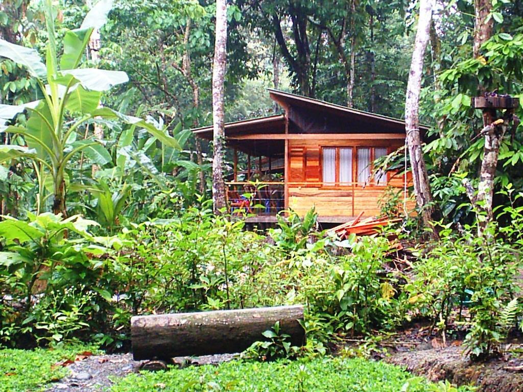埃尔图昌丛林小屋住宿加早餐旅馆 Puerto Viejo de Talamanca 外观 照片