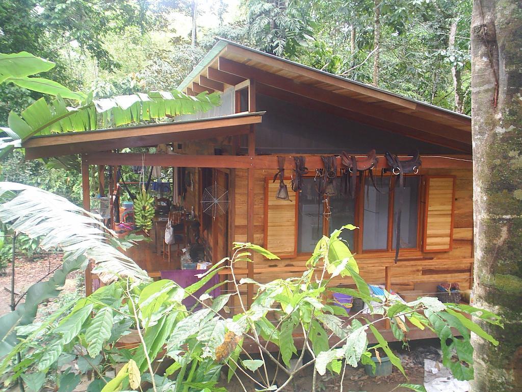埃尔图昌丛林小屋住宿加早餐旅馆 Puerto Viejo de Talamanca 客房 照片