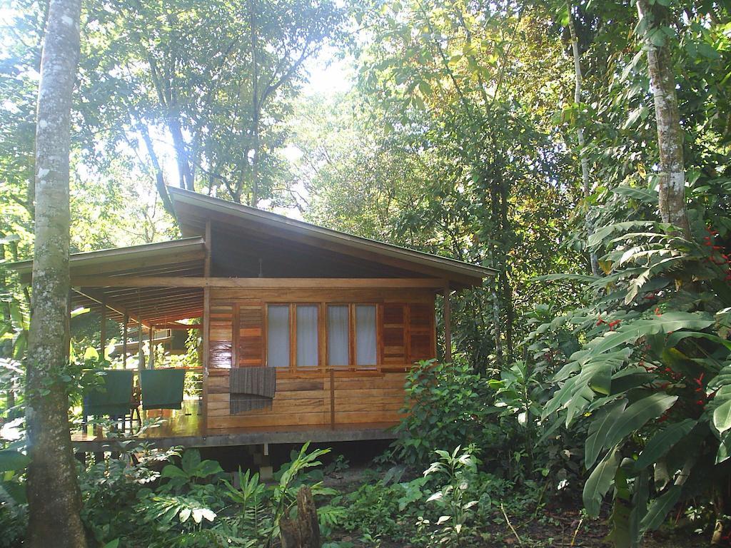 埃尔图昌丛林小屋住宿加早餐旅馆 Puerto Viejo de Talamanca 客房 照片