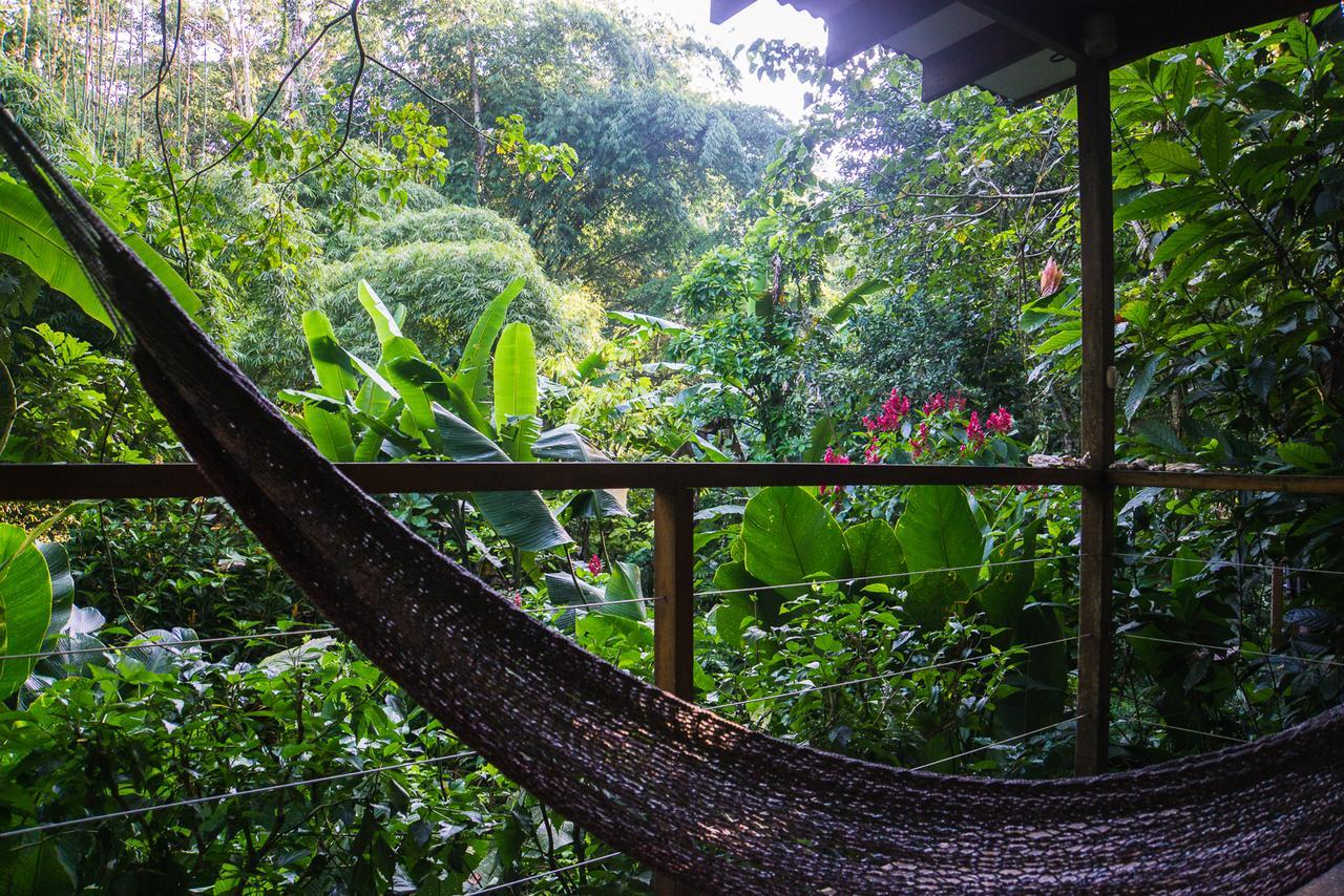 埃尔图昌丛林小屋住宿加早餐旅馆 Puerto Viejo de Talamanca 外观 照片