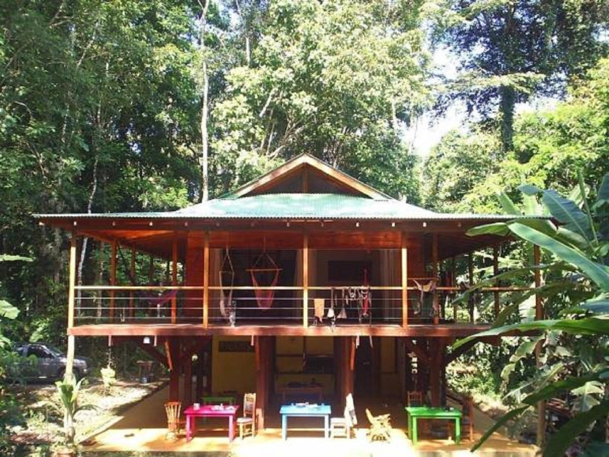 埃尔图昌丛林小屋住宿加早餐旅馆 Puerto Viejo de Talamanca 外观 照片