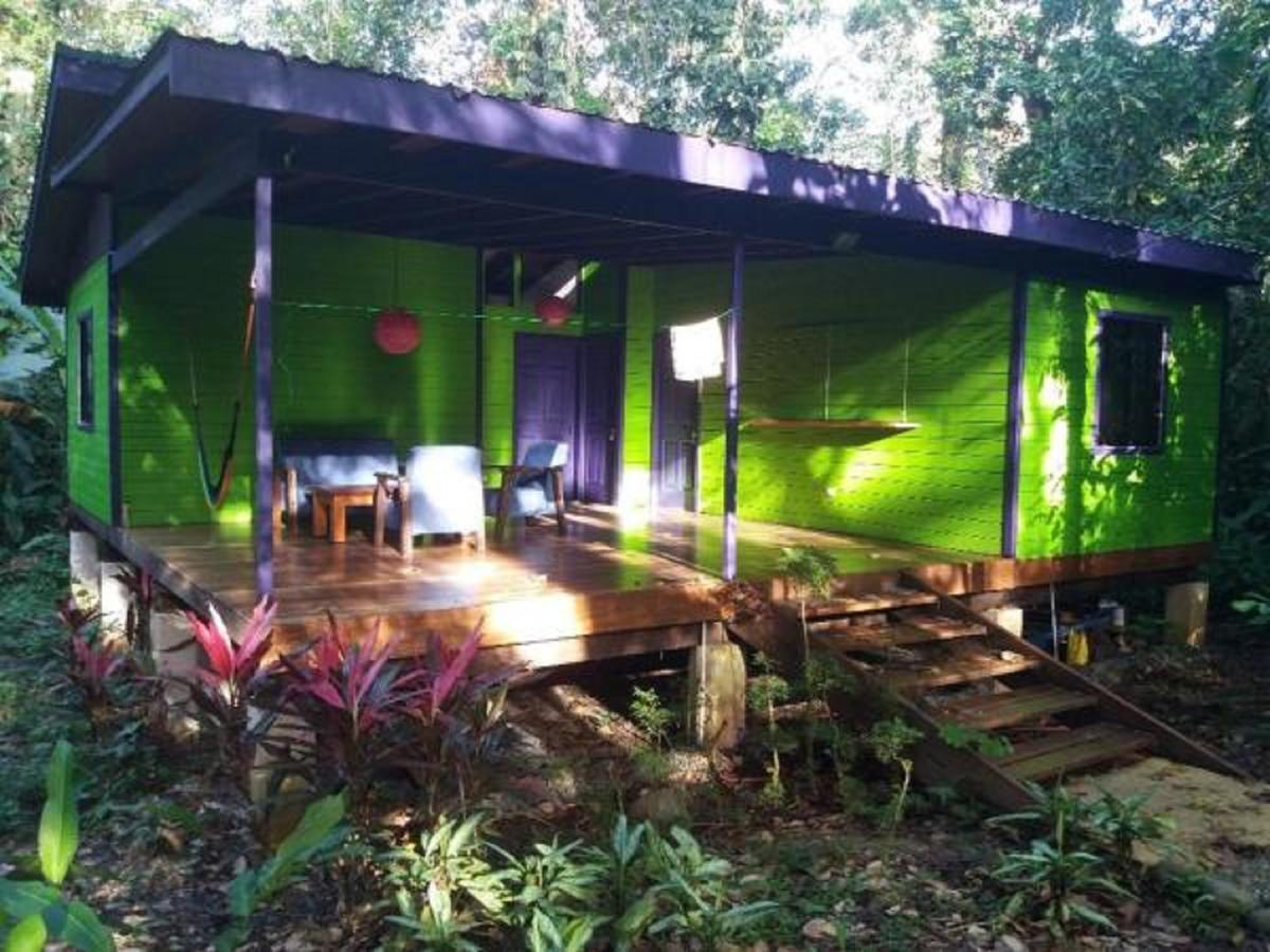 埃尔图昌丛林小屋住宿加早餐旅馆 Puerto Viejo de Talamanca 外观 照片