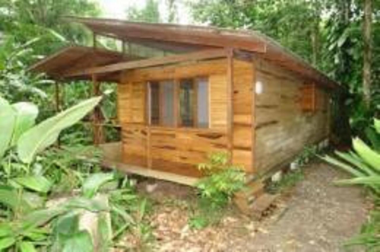埃尔图昌丛林小屋住宿加早餐旅馆 Puerto Viejo de Talamanca 外观 照片