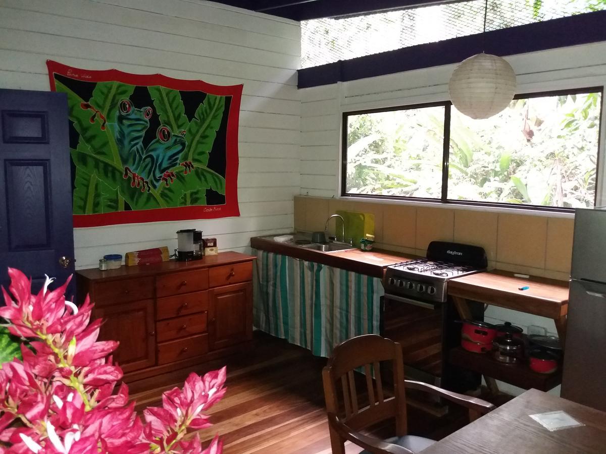 埃尔图昌丛林小屋住宿加早餐旅馆 Puerto Viejo de Talamanca 外观 照片