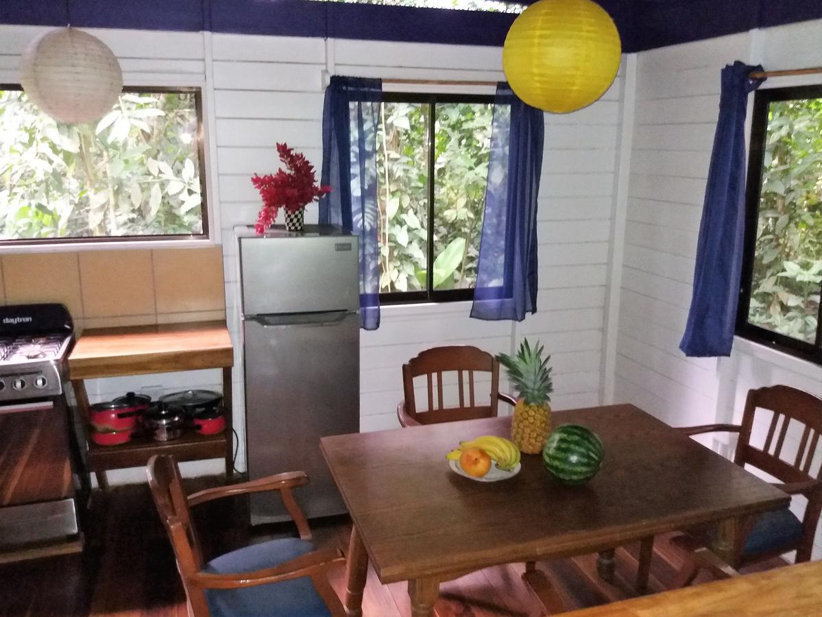 埃尔图昌丛林小屋住宿加早餐旅馆 Puerto Viejo de Talamanca 外观 照片