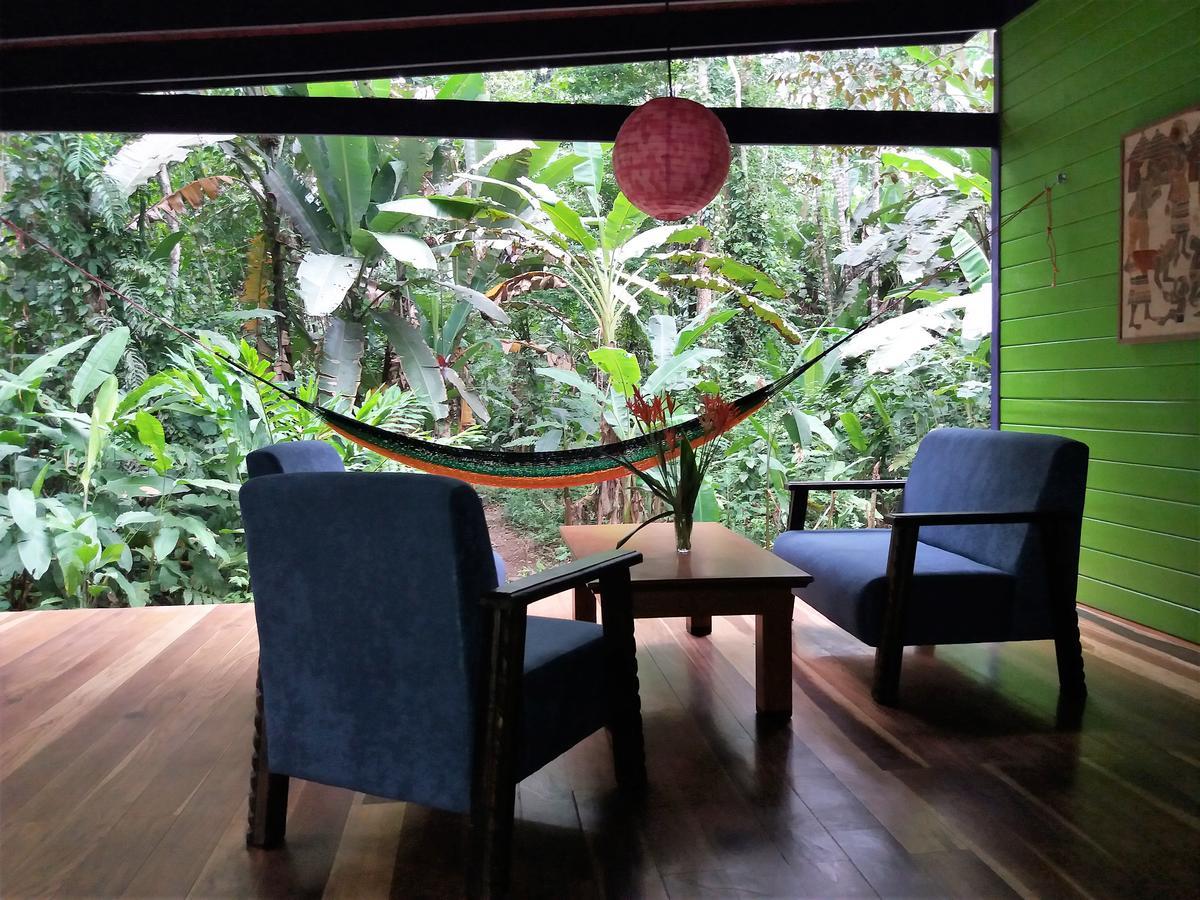 埃尔图昌丛林小屋住宿加早餐旅馆 Puerto Viejo de Talamanca 外观 照片