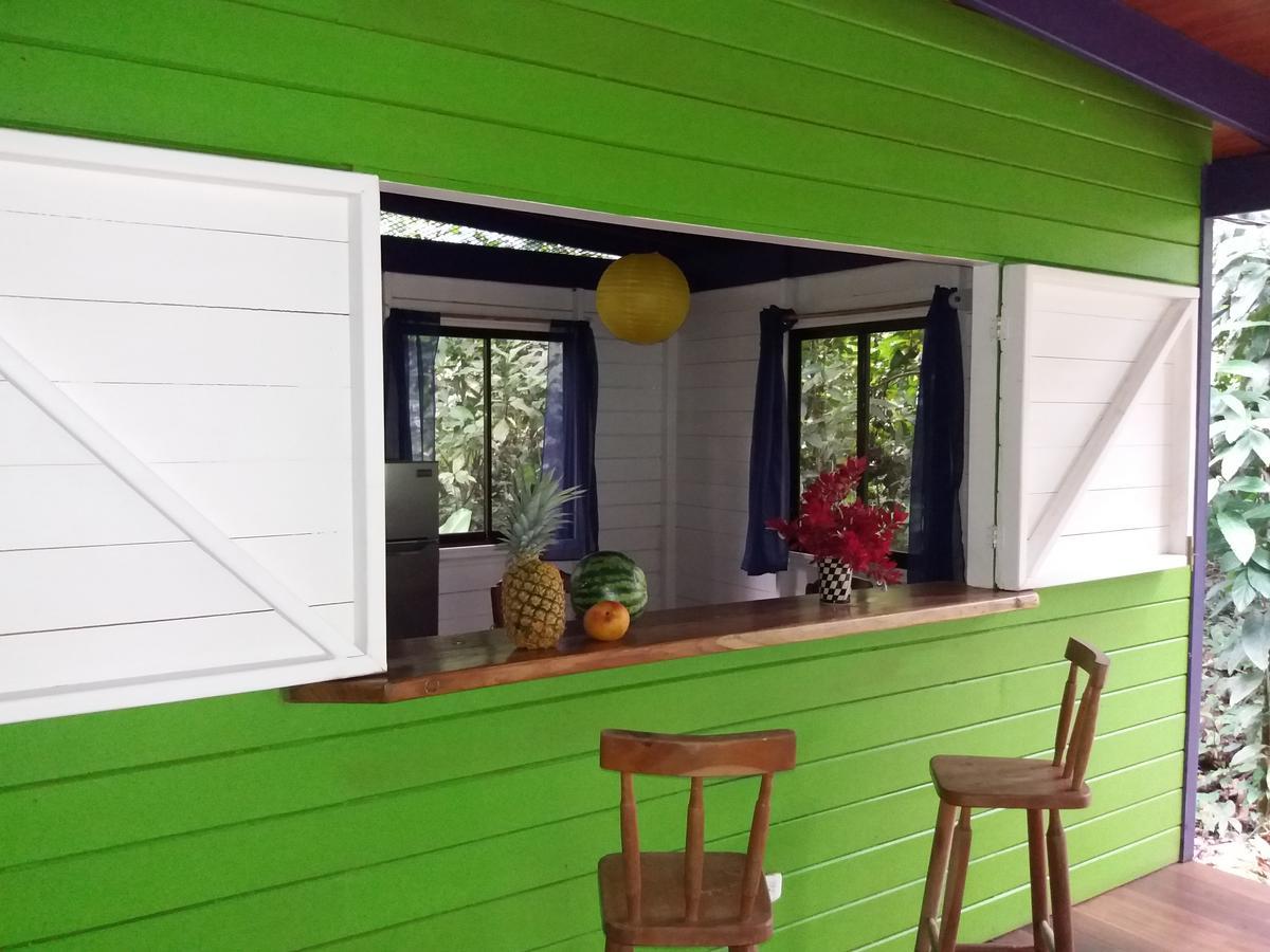 埃尔图昌丛林小屋住宿加早餐旅馆 Puerto Viejo de Talamanca 外观 照片